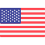 United States icon